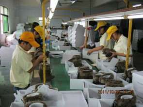 檢品工廠一站式服務 包裝、配送與家政支持一體解決方案